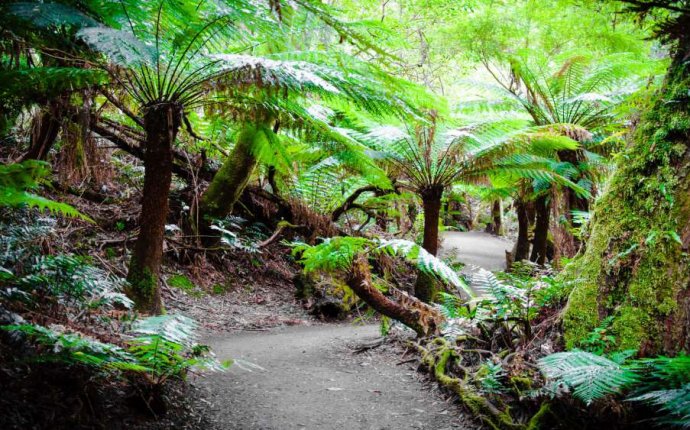 10 spectacular Australian national parks that dodge the spotlight