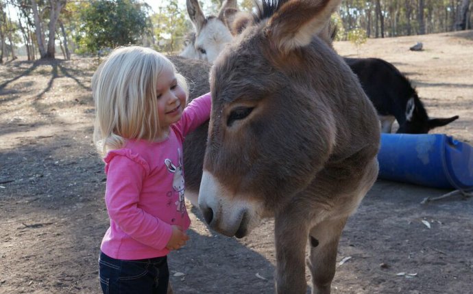 Accommodation | Maryborough Vic | Goldfields | Donkey Tales Farm Cotta