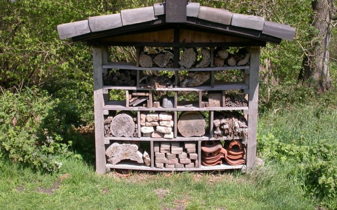 Building a native bee hotel | Discovery Circle