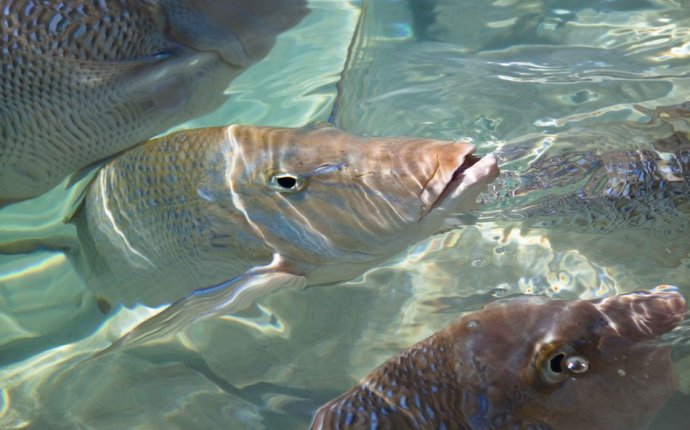 Coral Bay | Shire of Carnarvon