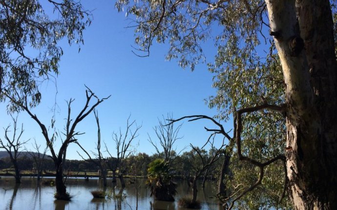 Murray River Easter holiday tips: Mildura, Echuca, Albury, Swan