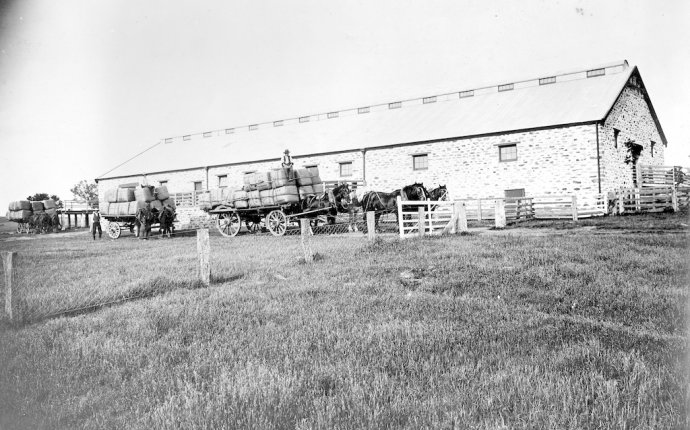 Wagons of wool leaving