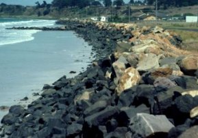 Dutton Way at Portland, the seawall just keeps growing, Photo by Andrew Short