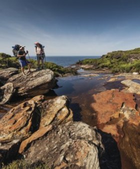 Eagle Rock, Royal National Park. Photo: D Finnegan/OEH.