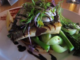 Grilled Fish at the Sandstone Point Hotel