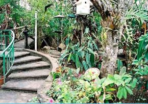 Lake Eachem Tourist Park on the Atherton Tablelands, North Queensland, Australia. Photo: Lake Eachem Tourist Park