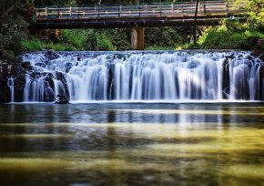 Malanda Falls on the Atherton Tablelands, North Queensland, Australia. Photo: MattPetersOz