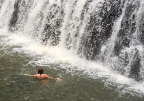 Malanda Falls on the Atherton Tablelands, North Queensland, Australia. Photo: BiancaMcIverr