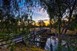 Pfeiffer Wines, Corowa