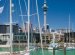 Flights to New Zealand from Sydney Australia