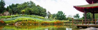 The Chinese Garden, Hunter Valley Garden, Hunter